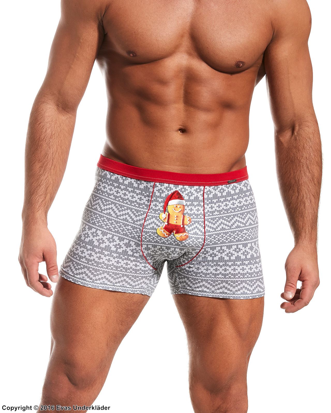 Boxershorts, Juletema